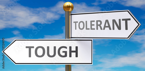 Tough and tolerant as different choices in life - pictured as words Tough, tolerant on road signs pointing at opposite ways to show that these are alternative options., 3d illustration
