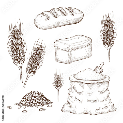 hand drawn breads, flour bag and wheatears set isolated on white. vector sketch illustration of square whole grain bread, wheat long loaf, rye spikelets, grains and burlap sack of flour. bakery goods.