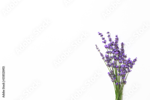 Lavender bouquet isolated on the white background