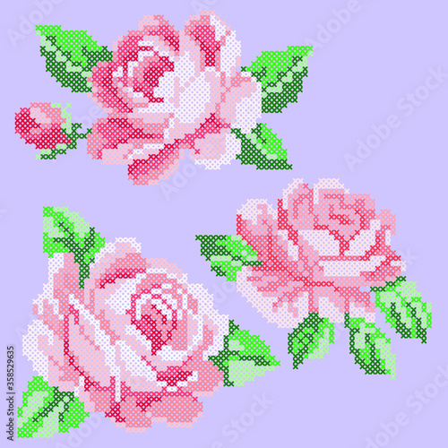 set of pink roses