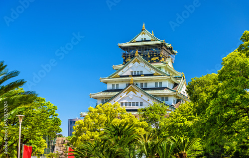 View of Osaka Castle in Japan