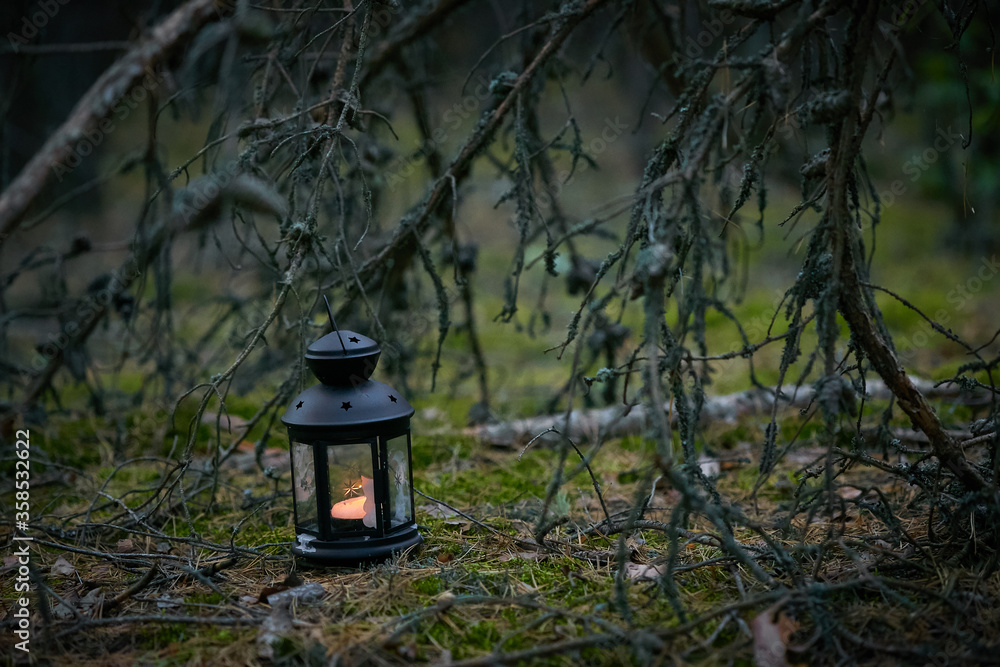 Halloween lantern in a dark pine forest Halloween lantern in a dark pine forest