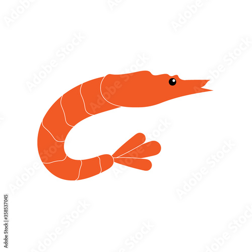 shrimp vector illustration