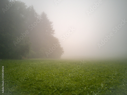 morning mist on the field