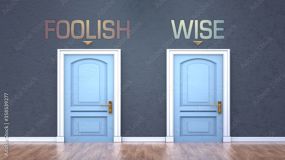 Foolish and wise as a choice - pictured as words Foolish, wise on doors to show that Foolish and wise are opposite options while making decision, 3d illustration Foolish and wise as a choice - pictured as words Foolish, wise on doors to show that Foolish and wise are opposite options while making decision, 3d illustration