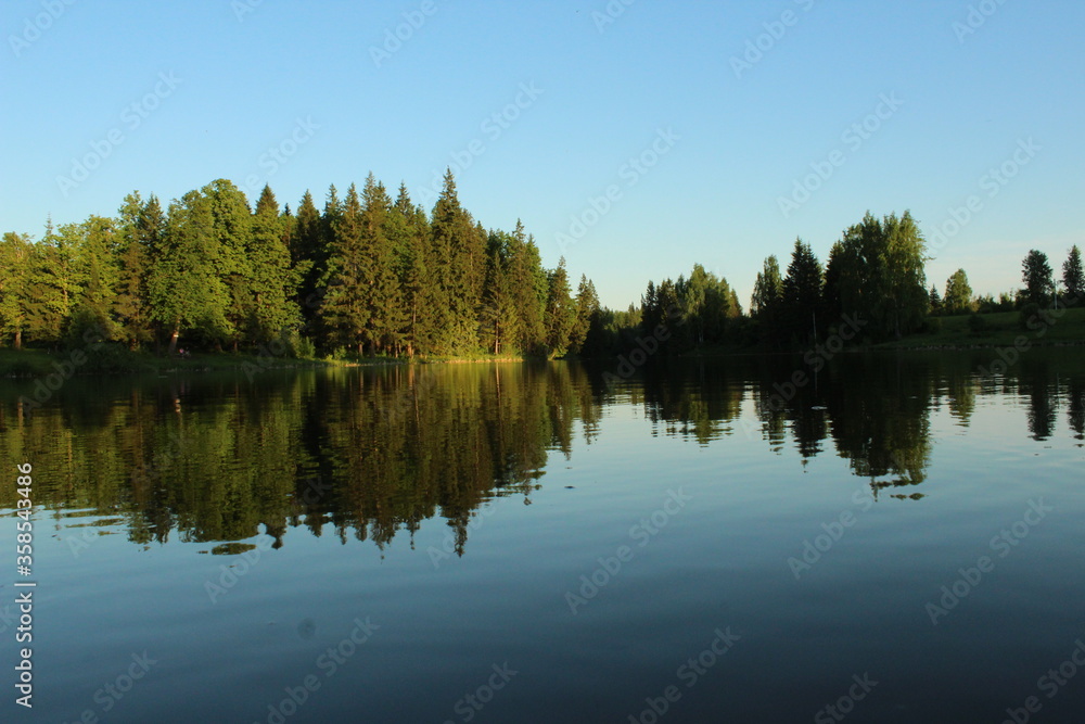 Summer nature in the reflection of the lake