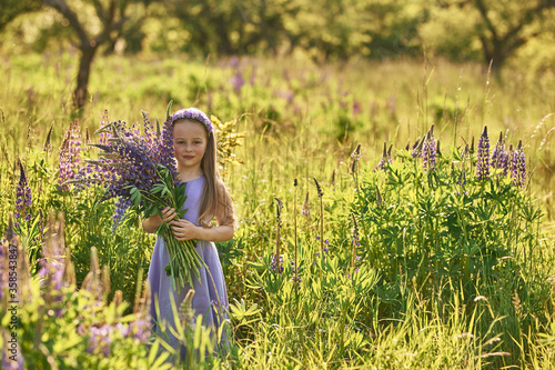 beautiful girl 5 years old in a field with lupins. meadow with purple flowers and a little girl with a bouquet of flowers in her hands. sunny sunset in a clearing and a girl who sniffs flowers