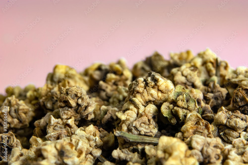 chard seeds ready for sowing on a pink background chard seeds ready for sowing on a pink background