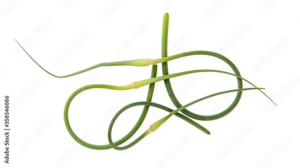 Garlic arrows isolated on white. Heap of green stalks of fresh young garlic. Food ingredient. Top view. Garlic arrows isolated on white. Heap of green stalks of fresh young garlic. Food ingredient. Top view.