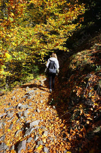 Yedigoller milli parkı, Bolu/Turkey-.October 19.2019-Trekking at the yedigöller in autumn season.