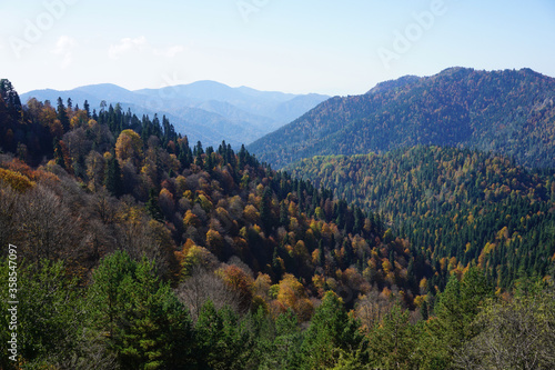 Beautiful scene at the beginning of Autumn from Yedigoller, Bolu/Turkey