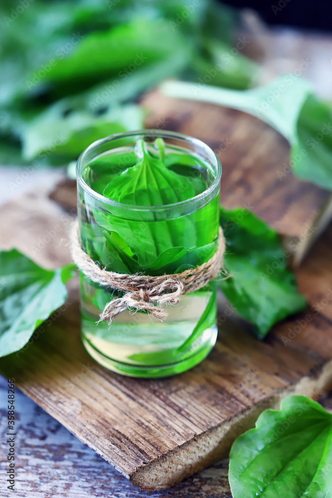 Drink with the leaves of plantain. Cough Drink. Alternative medicine. Drink with the leaves of plantain. Cough Drink. Alternative medicine.