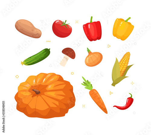 Various autumnal vegetables semi flat RGB color vector illustration set. Ripe pumpkin. Fresh peppers. Crop of potato. Farmer market products isolated cartoon object collection on white background