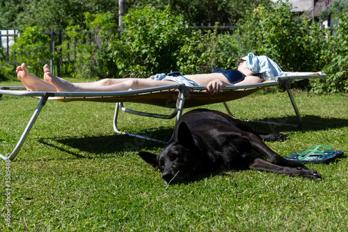 Girl on hot summer day sunbathes on a lawn on cot and next lies black shepherd