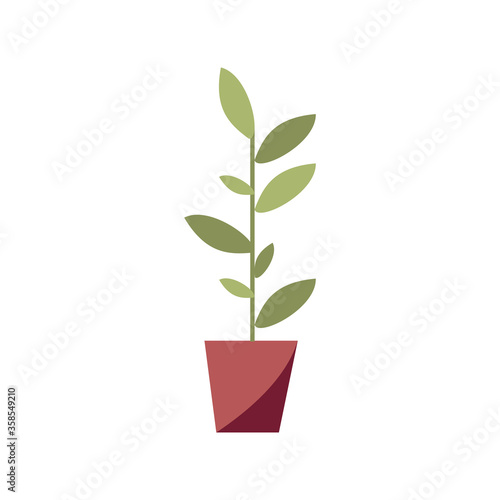 Houseplant semi flat RGB color vector illustration. Botanical stem in flower pot. Office plant in vase. Urban gardening. Interior decoration isolated cartoon object on white background