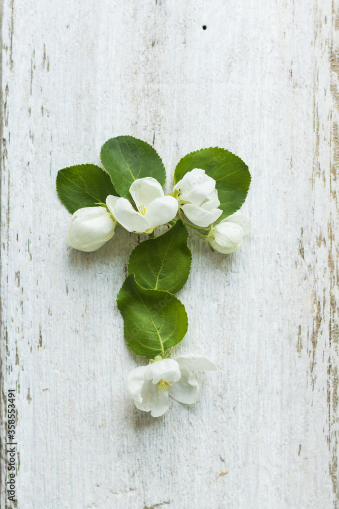 Buds and leaves of apple tree on a white wooden background, flower alphabet. Letter T Buds and leaves of apple tree on a white wooden background, flower alphabet. Letter T