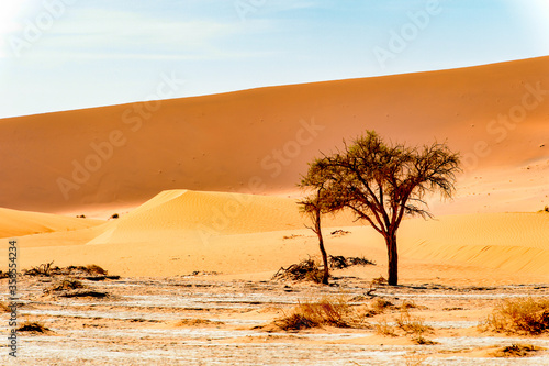 It's Spectacular landscape of the Namibia desert, Sossuvlei, Africa.