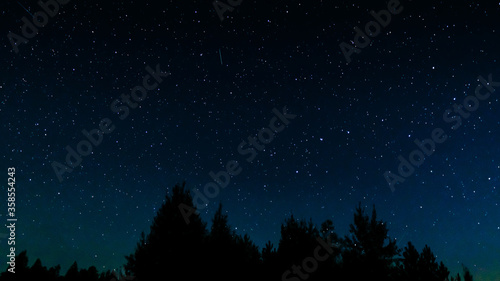 Tops of pines on a background of stars in the sky
