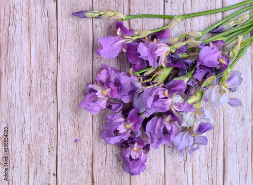 Bouquet collected in a bunch of purple iris flowers