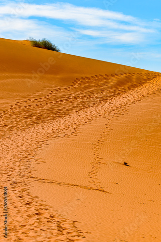 It s Amazing view of the Namibia desert  Sossuvlei  Africa.