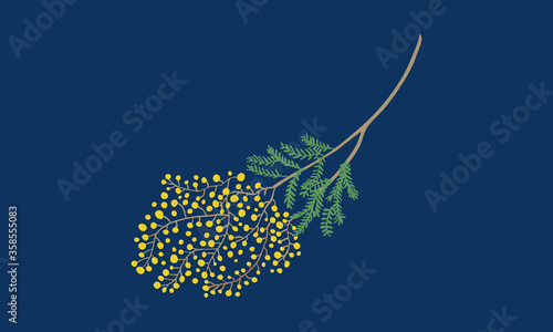  Mimosa Flower Vector Illustration