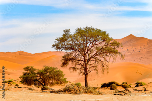 It s Namibia desert  Sossuvlei  Africa.