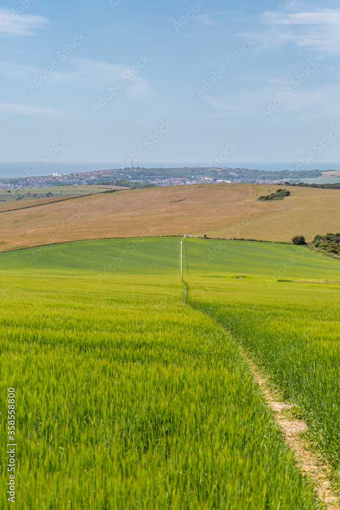 A pathway through farmland in the South Downs, with Sussex coast in the distance  
