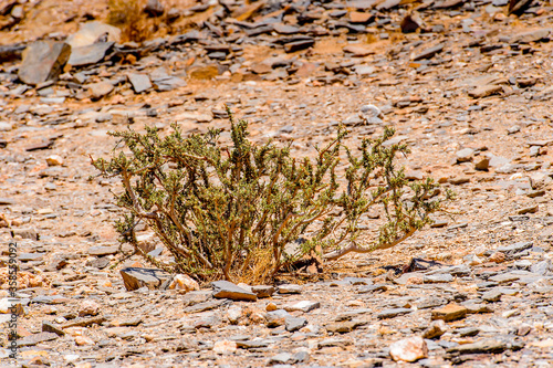 It s Beautiful landscape of Namibia