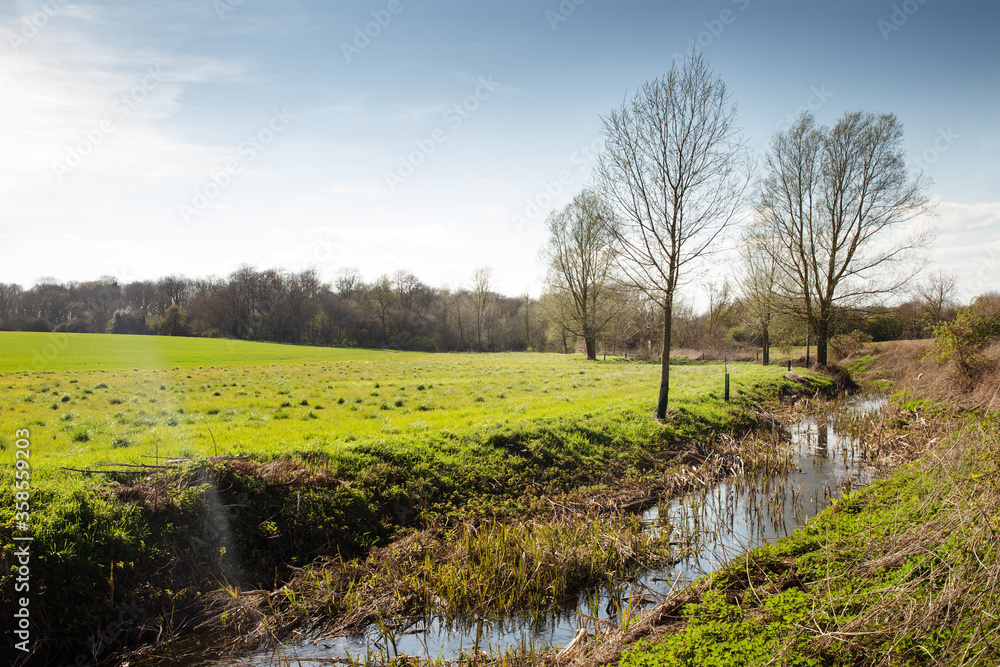 Obraz premium river ter in hatfield peveal