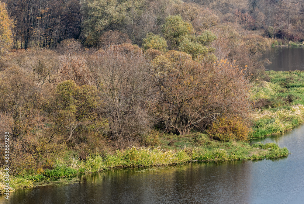 pond with water near green grass and trees pond with water near green grass and trees