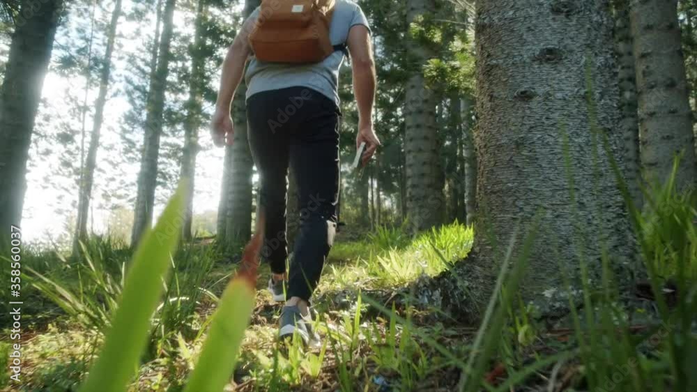 Man Hiking In The Forest ( Slow Motion ) Man Hiking In The Forest ( Slow Motion )