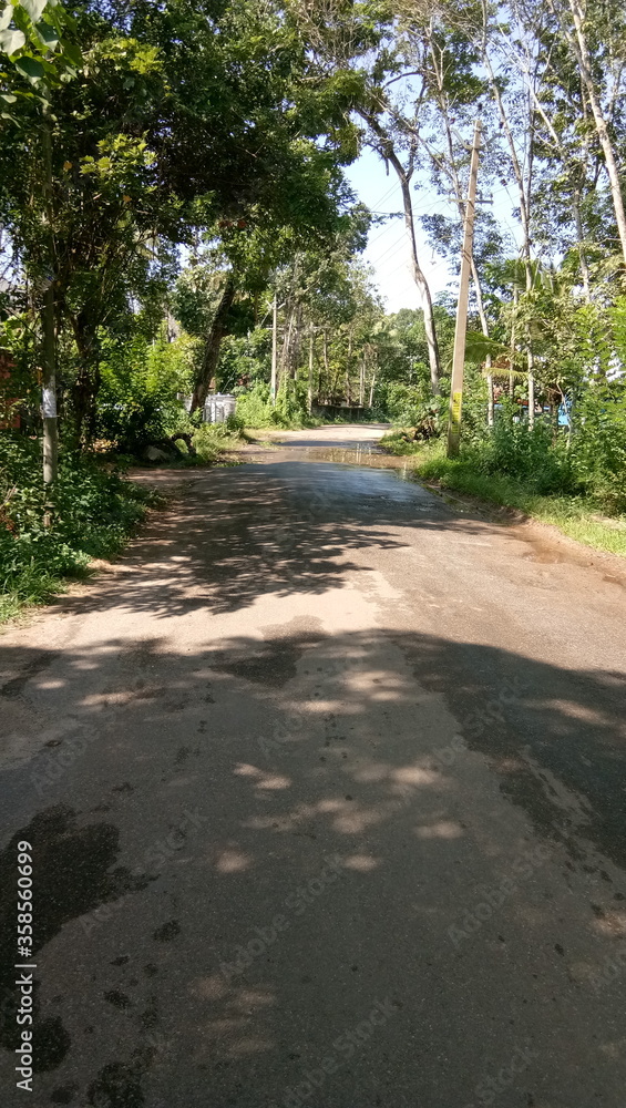 Obraz premium road free for me