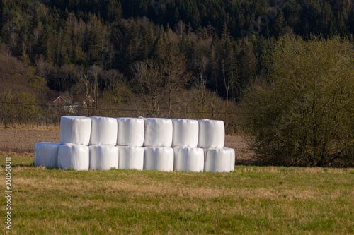 white rolls of packed ensilage stapled on the edge of a field