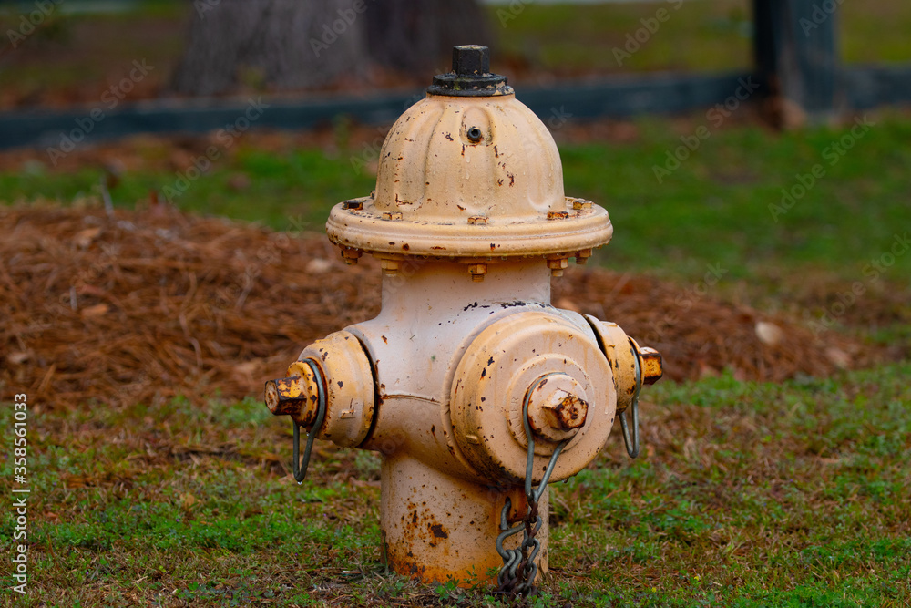 Traditional American yellow fire hydrant on grass Traditional American yellow fire hydrant on grass