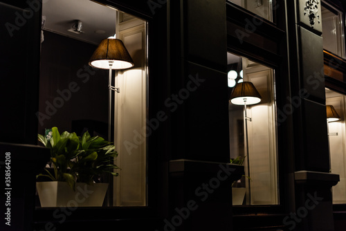 selective focus of lamps near green plants on window sills