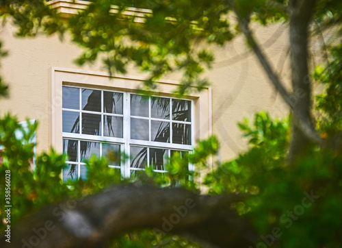 window in the garden