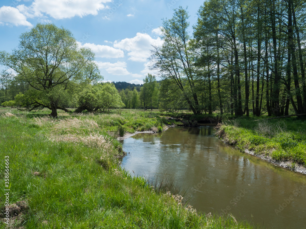 idyllic landscape of winding river stream meander at lush green meadow with deciduous tree forest, blue sky backgound. Late spring sunny afternoon, vibrant colors idyllic landscape of winding river stream meander at lush green meadow with deciduous tree forest, blue sky backgound. Late spring sunny afternoon, vibrant colors