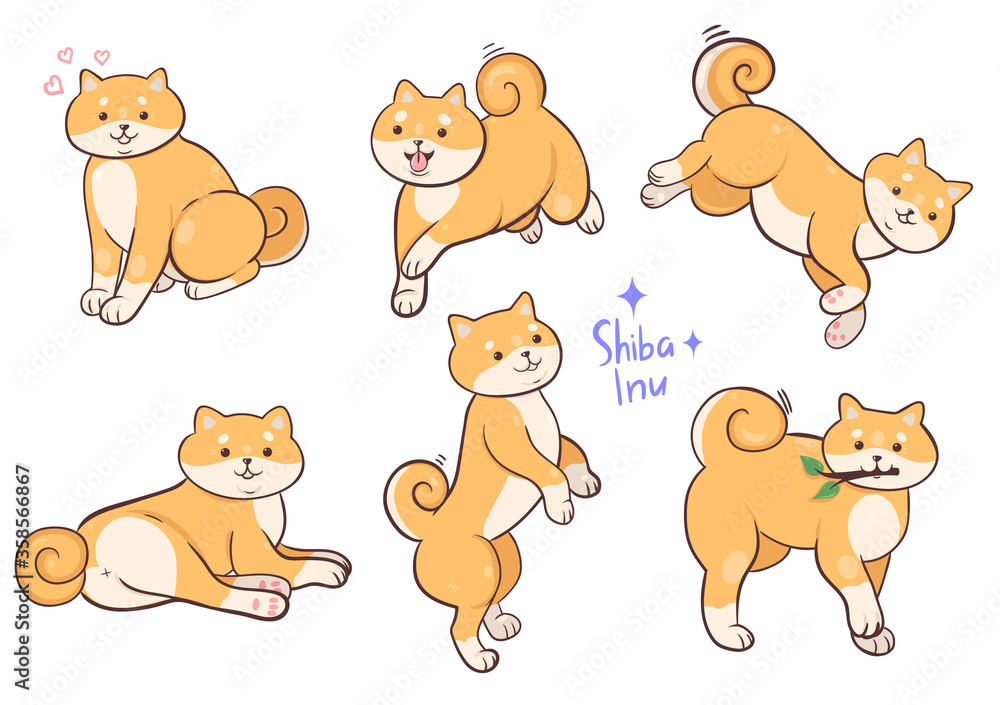 Set of dogs shiba inu breed isolated on a white background. Vector graphics. Set of dogs shiba inu breed isolated on a white background. Vector graphics.