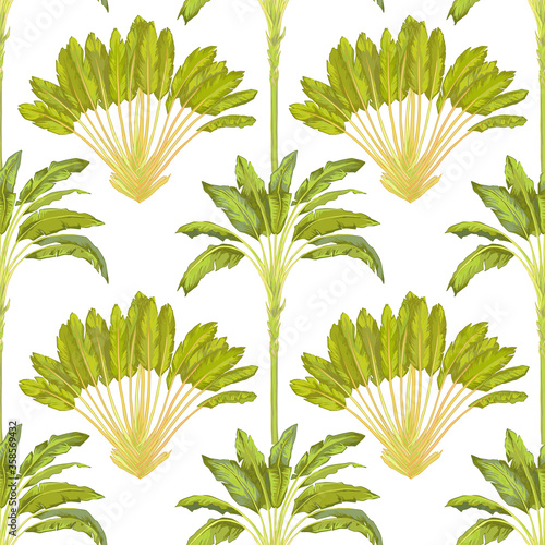 Banana tree and ravenala tree vector with watercolor effect seamless pattern on white. photo