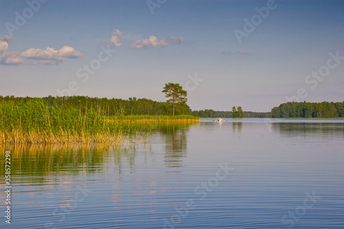 Scenary summer evening calm lake.