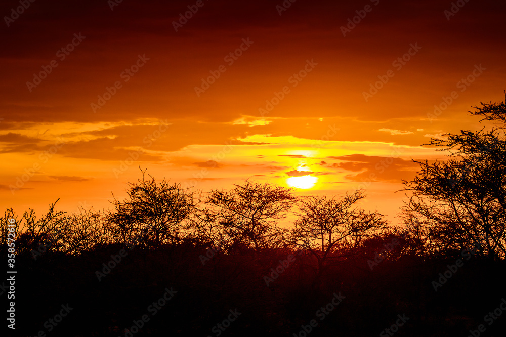 It's Beautiful sunset at the Erindi Private Game Reserve, Namibia