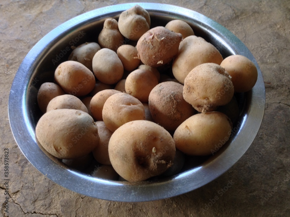 few organic fresh raw potato closeup shot inside the steel bowl in the floor from top view few organic fresh raw potato closeup shot inside the steel bowl in the floor from top view