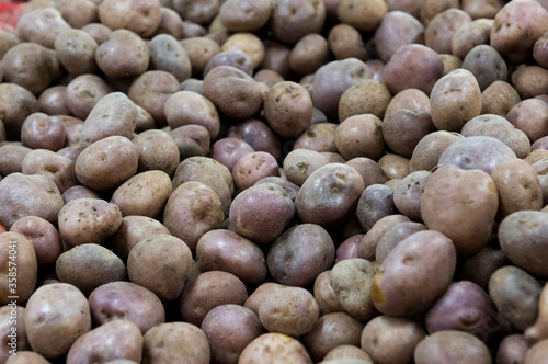 Potato capira stacked for sale photo