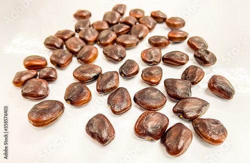 the Tamarind seed for thaitraditional pharmacy