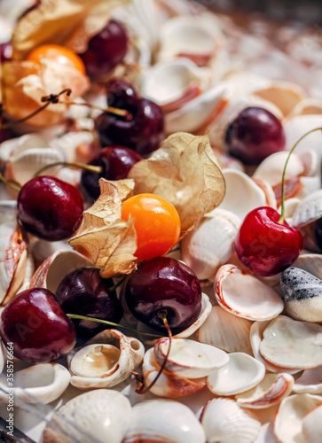 Cherries, physalis and white sea shells