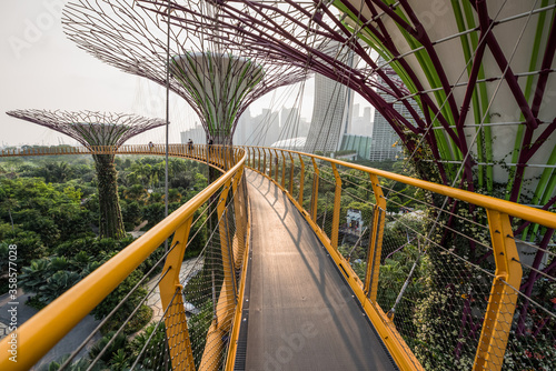 The Supertree Grove, Gardens by the Bay, Singapore, photo