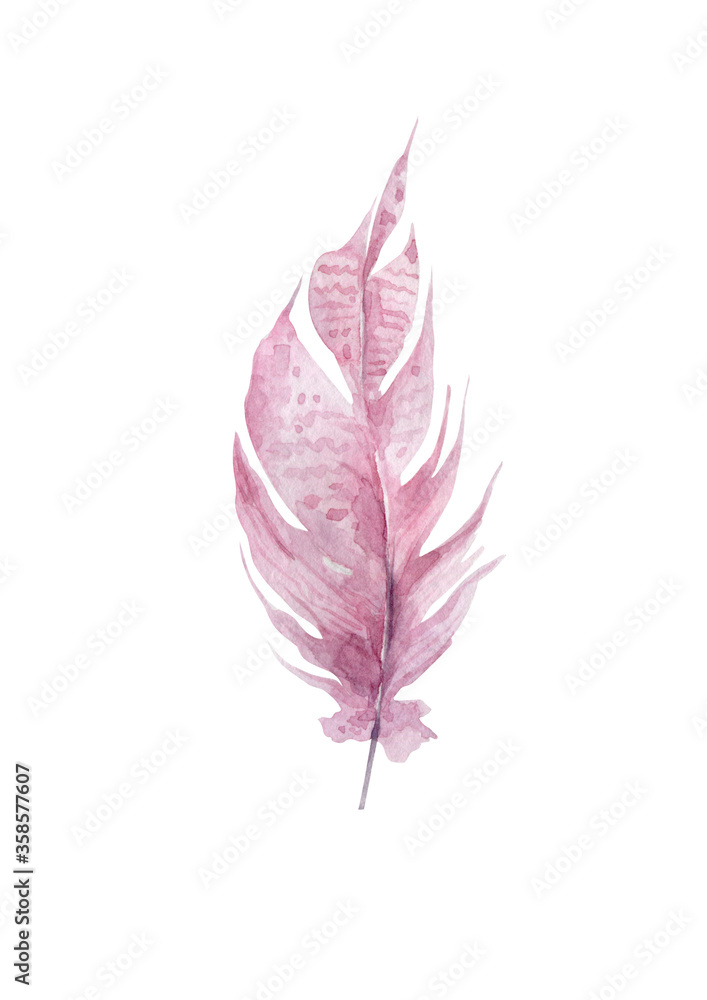 Obraz Hand drawn watercolor pink feather illustration on white background