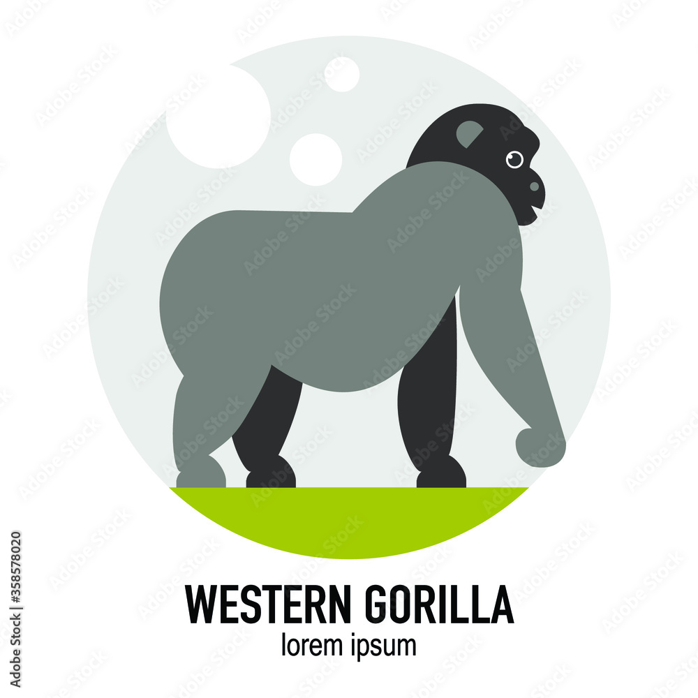 Obraz premium Tropical Animal