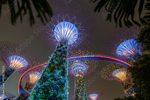 The Supertree Grove at Night, Gardens by the Bay, Singapore