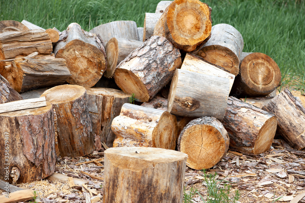 Felled trees. Trunks of pines. Logs. Woodpile. Logs at a sawmill. Felled trees. Trunks of pines. Logs. Woodpile. Logs at a sawmill.